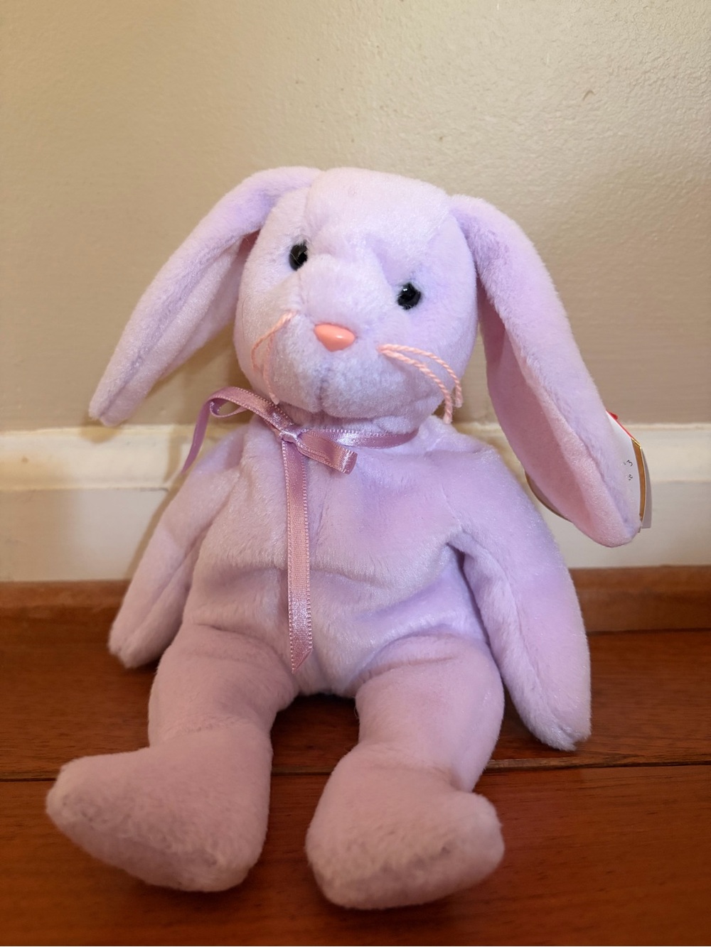 “Floppity” Beanie Baby